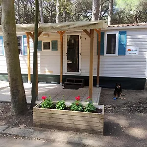  Casa vacanze Mare E Pineta - Mipro Lux 5 Italia